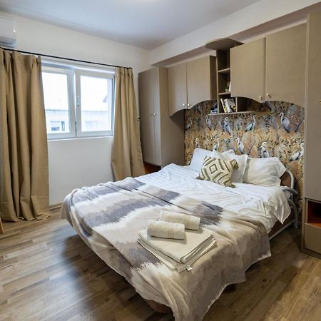 Cozy Studio Retreat - Quiet, Premium Stay Timisoara Ngoại thất bức ảnh