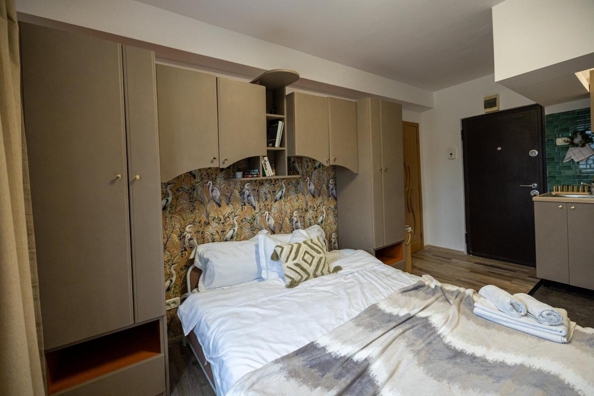 Cozy Studio Retreat - Quiet, Premium Stay Timisoara Ngoại thất bức ảnh